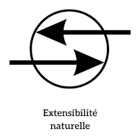 extensibilité naturelle